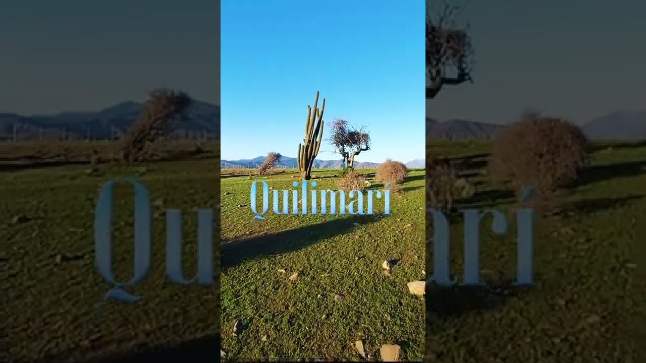 El hermoso Quilimar&iacute;