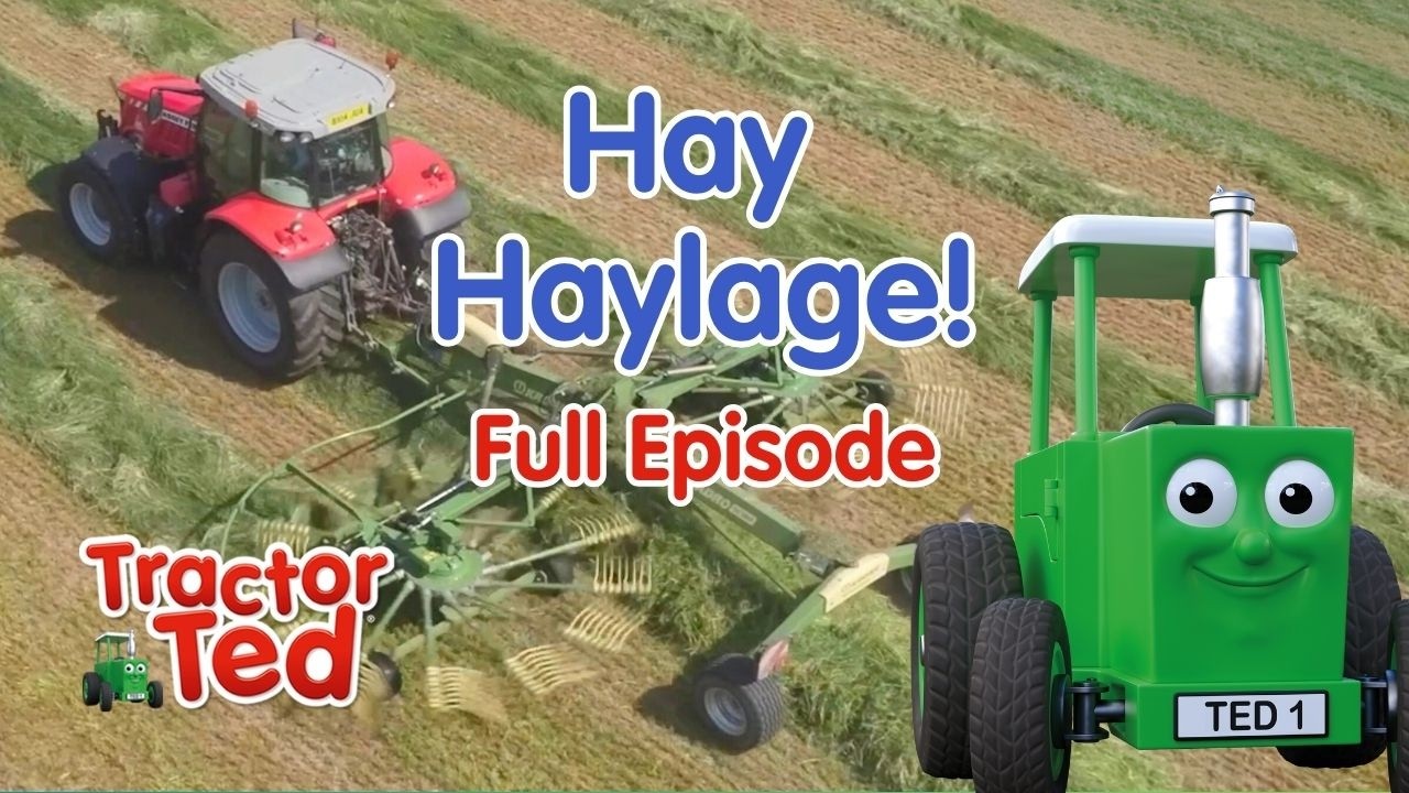 Hey Haylage | Tractor Ted Full Episode | Farm Animals & Tractors For Kids
