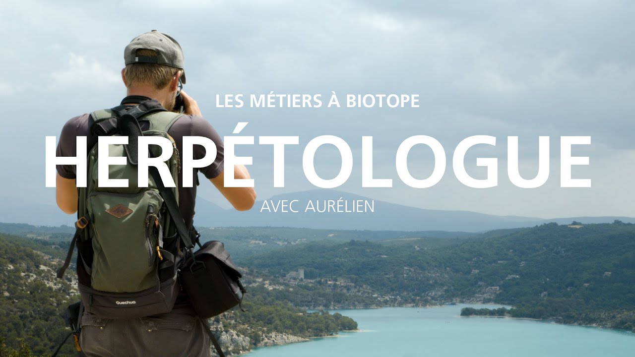 Découvrez le métier d'herpétologue