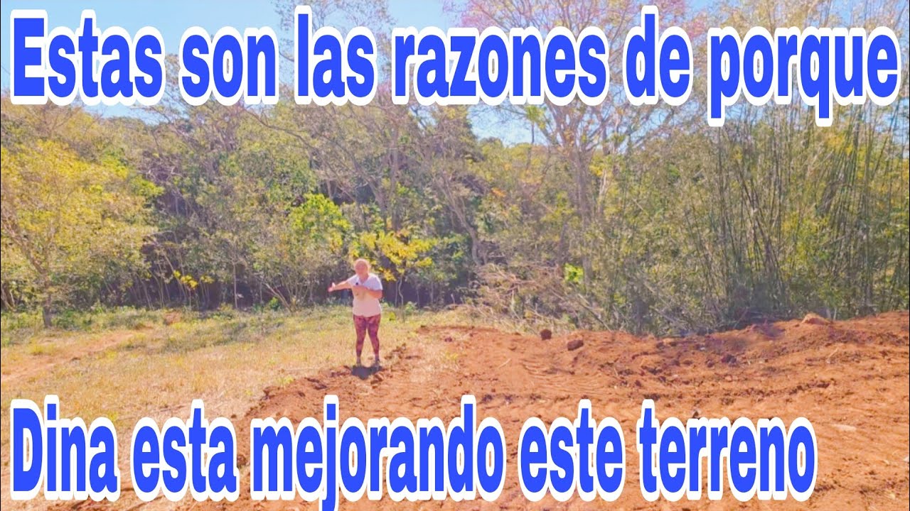 Estas son las razones porque Dina esta mejorando el terreno😱😳