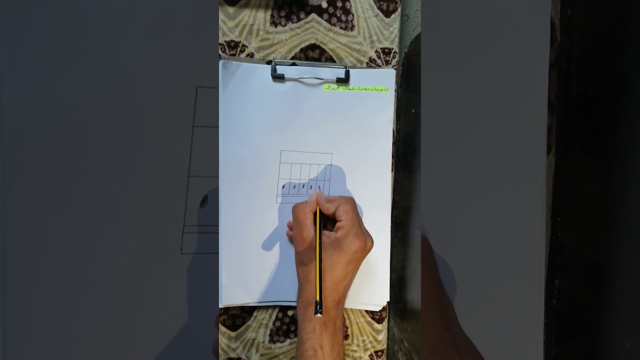 احياء السادس العلمي | الفصل الثاني | رسم النسيج الظهاري المطبق العمودي