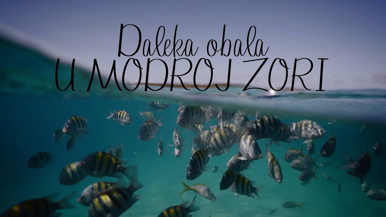 Daleka obala - U modroj zori (Official lyric video)