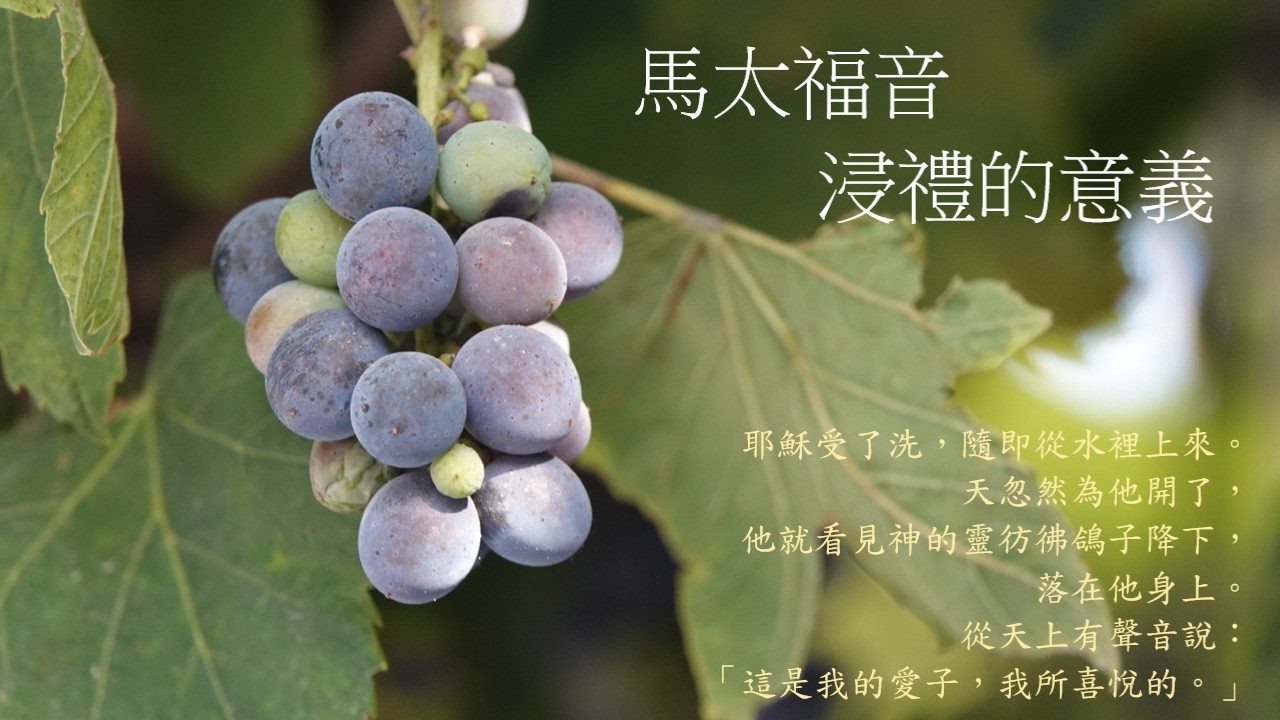 靈修:馬太福音-浸禮的意義 20260309