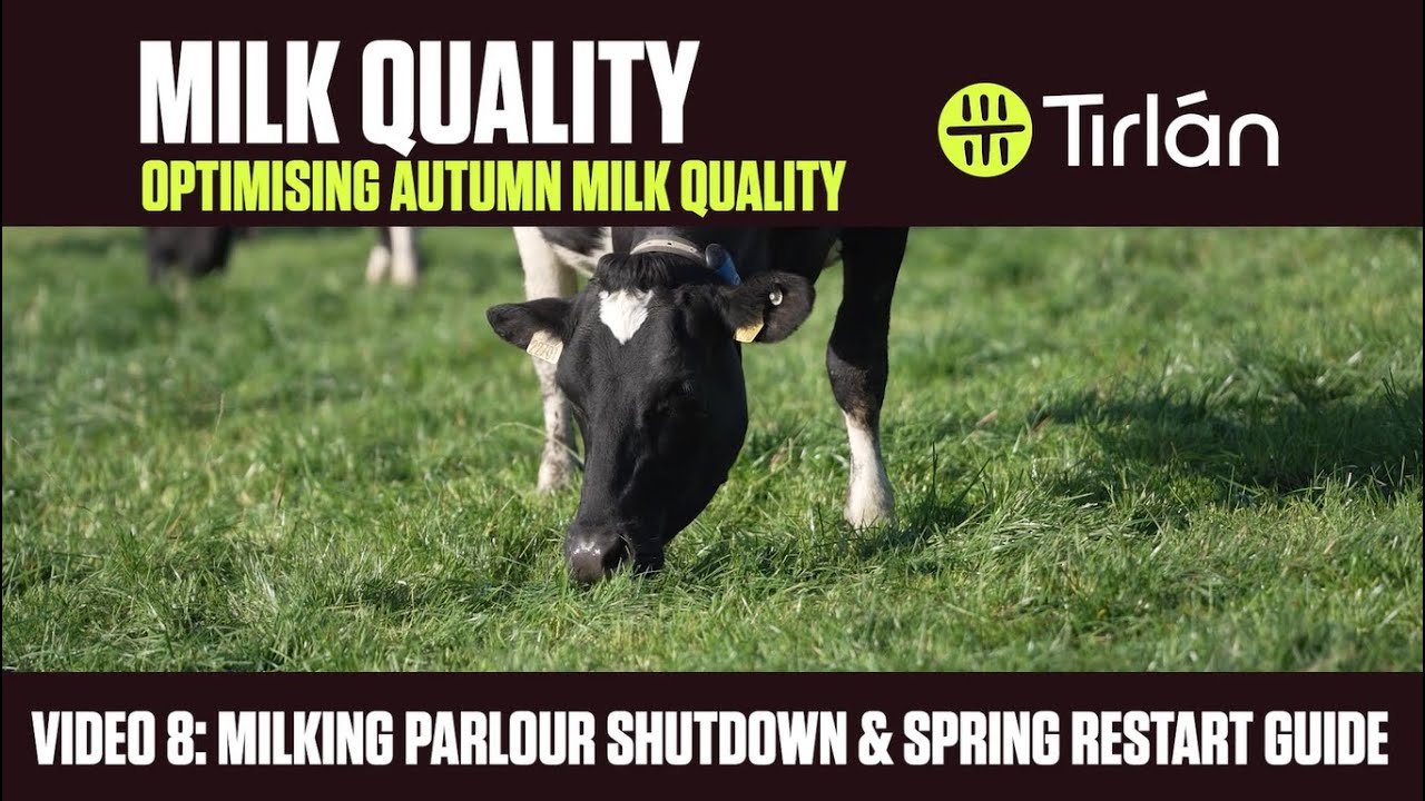 Autumn Milk Quality - Video 8 - Milking Parlour Shutdown & Spring restart guide