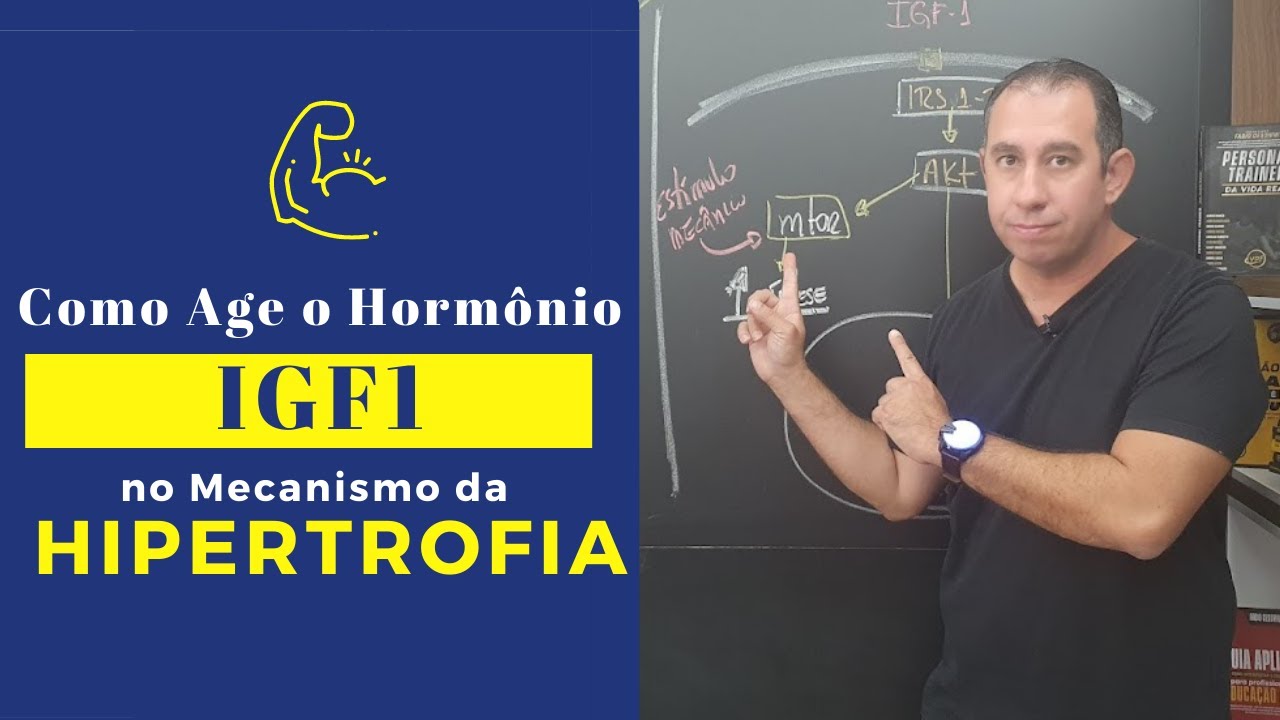 Como Age o Hormônio IGF 1 no Mecanismo de Hipertrofia