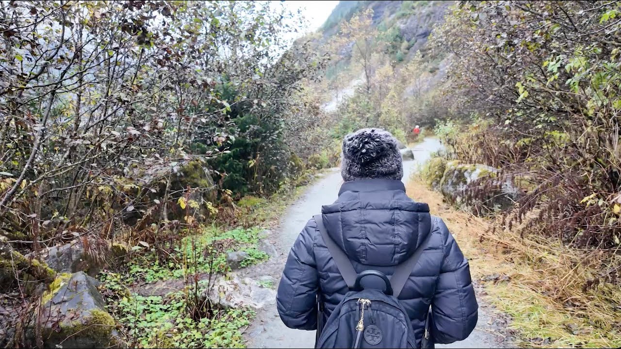 Alaska Glacier Nature Walk 🏔️ | 17-Minute Zen Walking Tour with Lo-Fi Focus Music