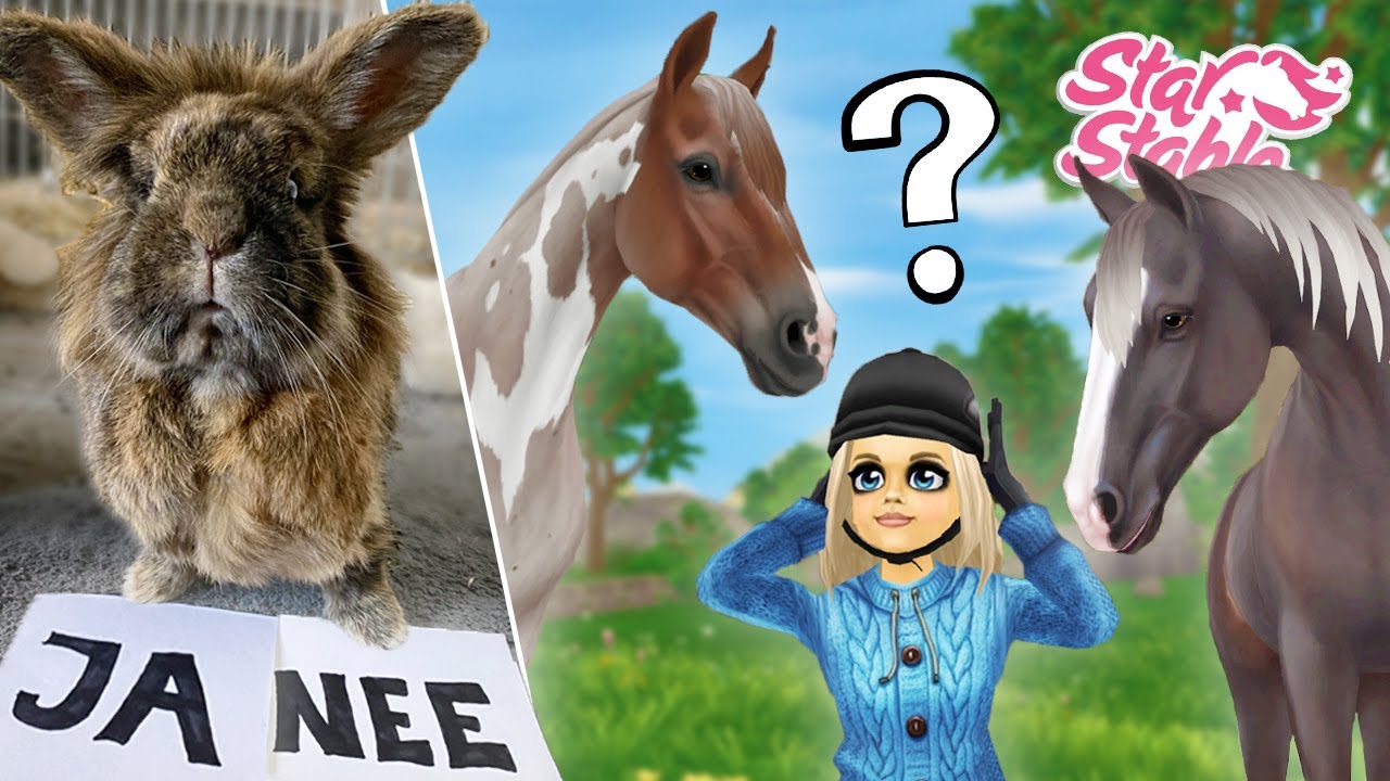 Mijn KONIJN BEPAALT welk NIEUW PAARD IK KOOP OP STAR STABLE! - Update | Daphne draaft door