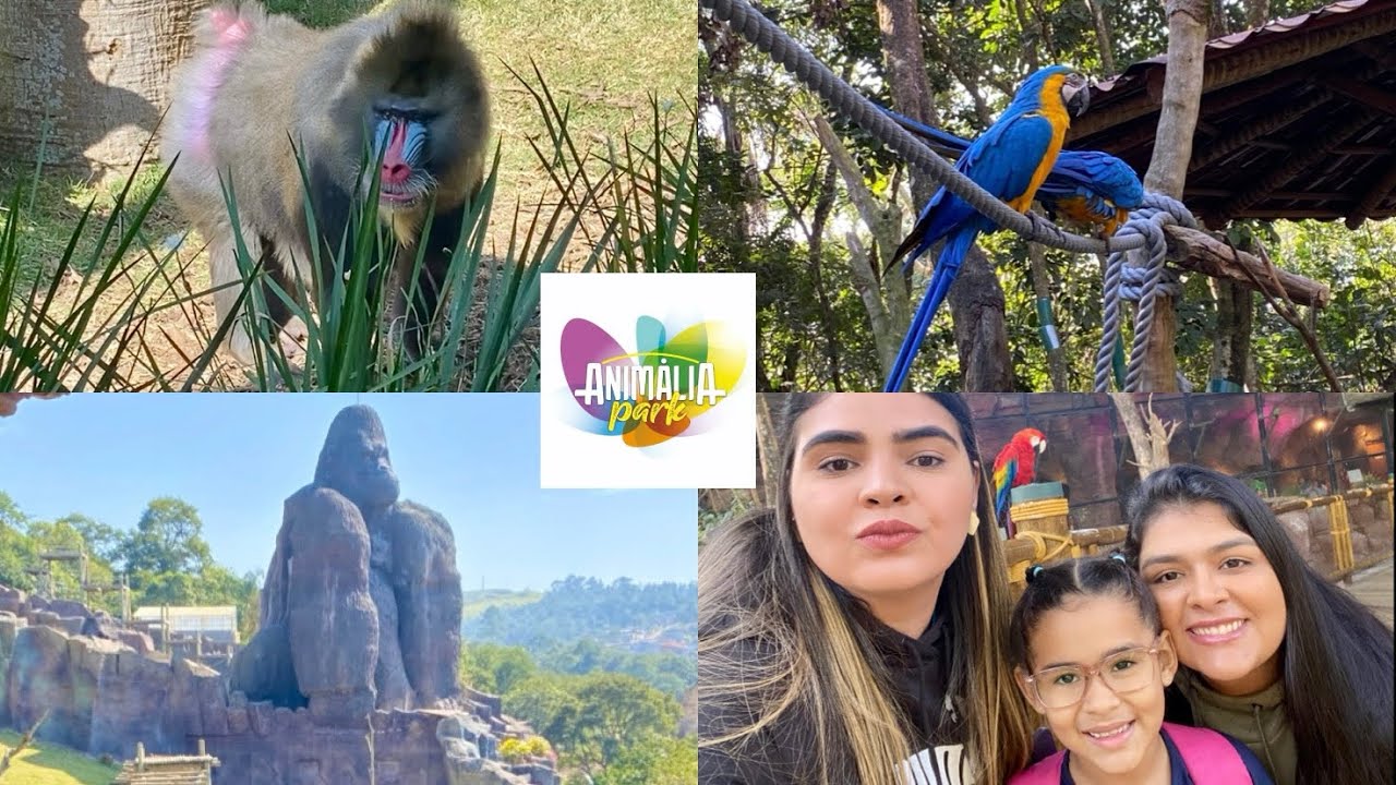 Animália Park 2025 São Paulo 🐾 Diversão Garantida 🦁🎢