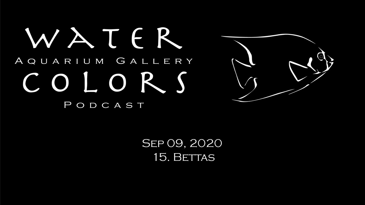 15. Bettas