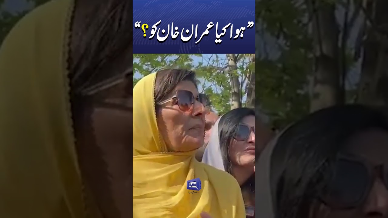 New Petition Filed Over Imran Khan Treatment | Aleema Khan Statement #viralshorts #newsfeed