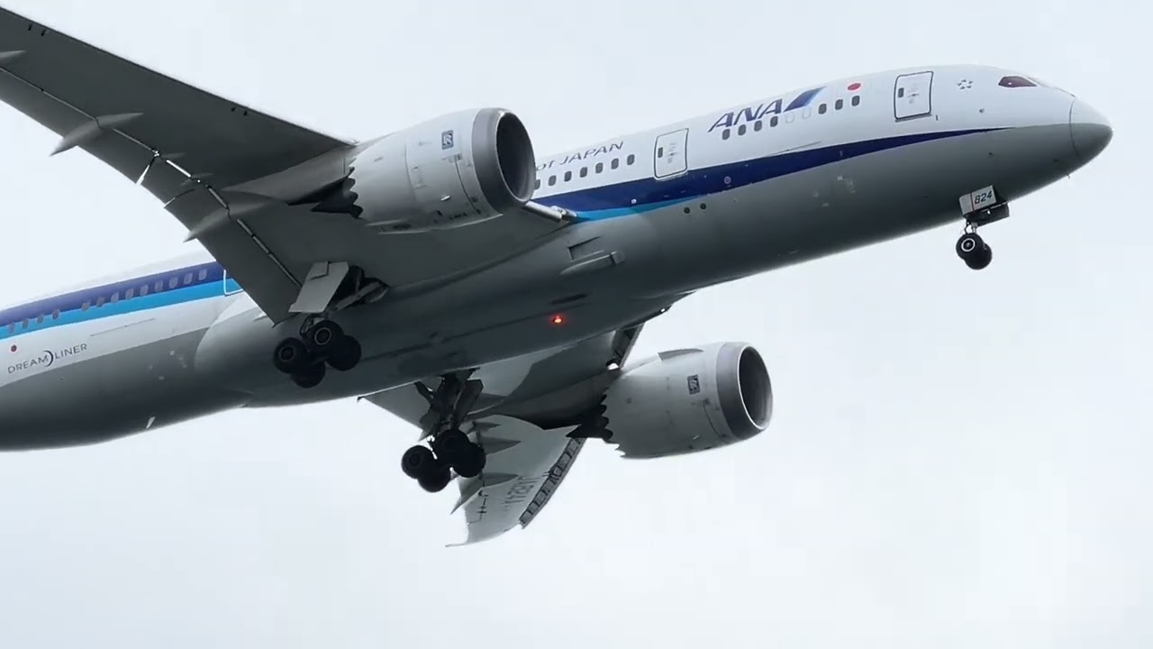【強風注意報】羽田空港ランウェイエンド 大迫力ランディング集 / Haneda Airport Strong Wind Landings