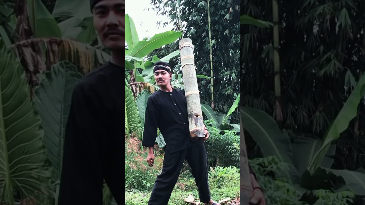 meriam bambu Lodong #shorts #meriam #trending