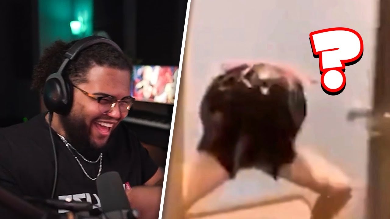 Grizzy REACTS to HILARIOUS UNUSUAL MEMES