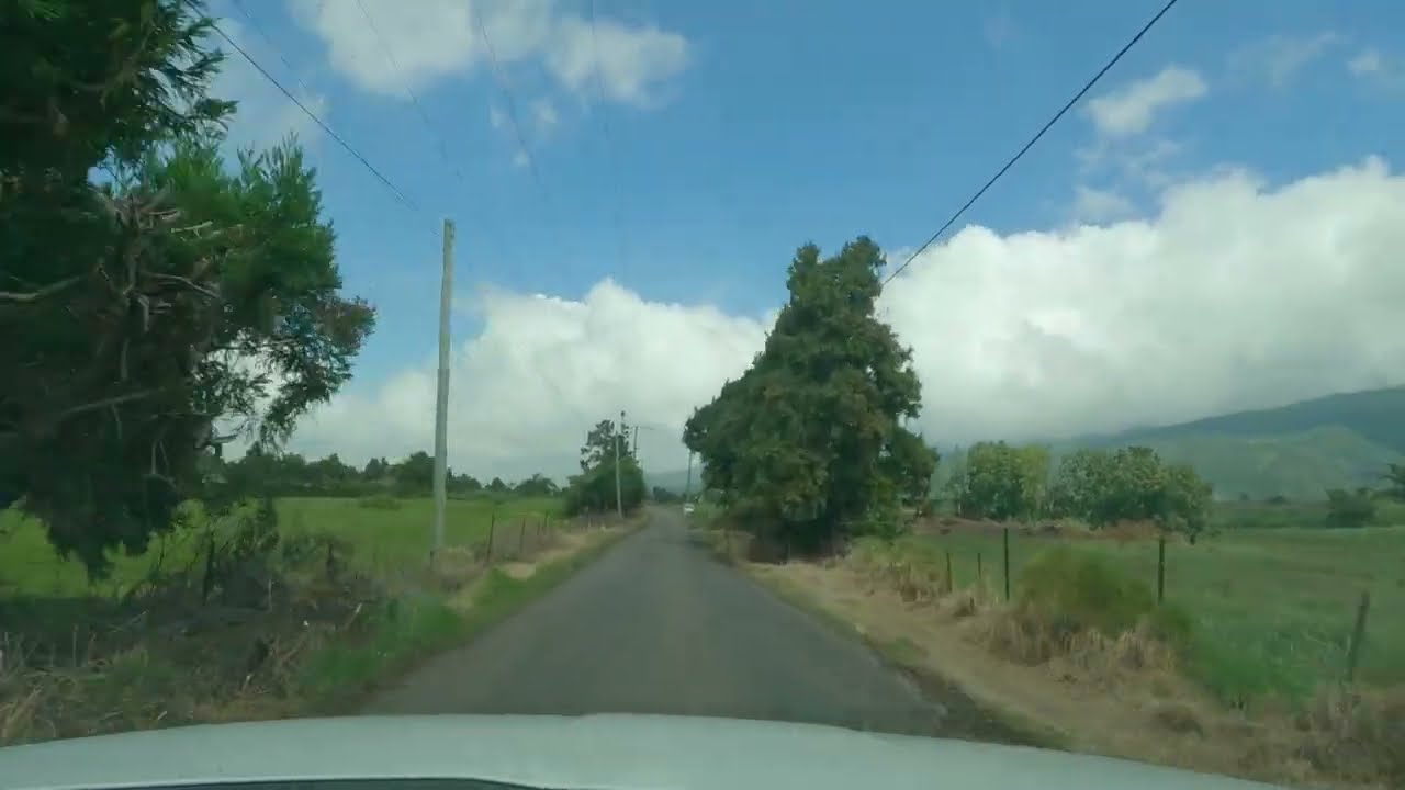 Île de la Réunion, La Plaine des Cafres ,Bois Court