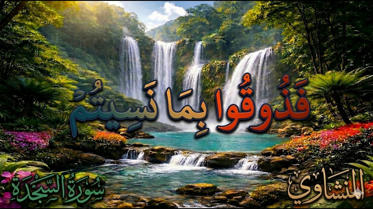 أَفَمَن كَان مُؤْمِنًا كَمَن كَان فَاسِقًا ۚ لاَ يَسْتَوُونَ..|المنشاوي|شلالات طبيعية