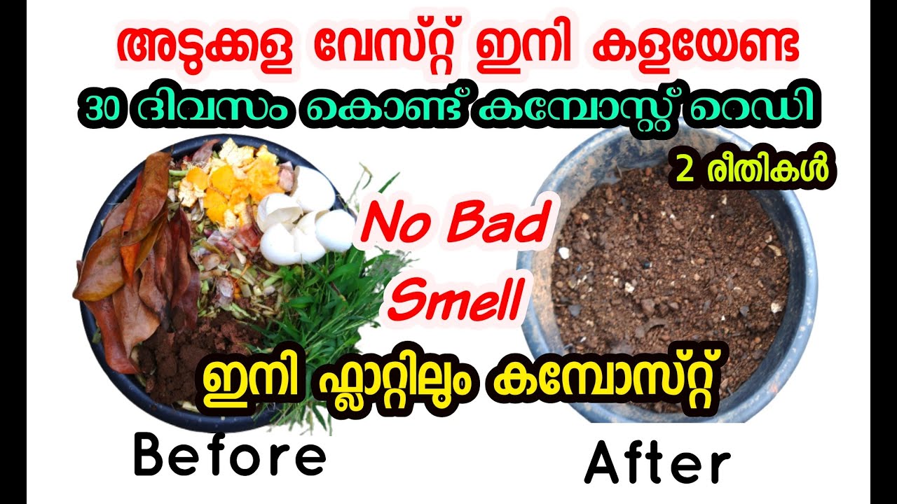 അടുക്കള മാലിന്യം കൊണ്ട് ജൈവവളം |നിങ്ങൾ  ചോദിക്കാറുള്ള കമ്പോസ്റ്റ് | Compost making in plant pot
