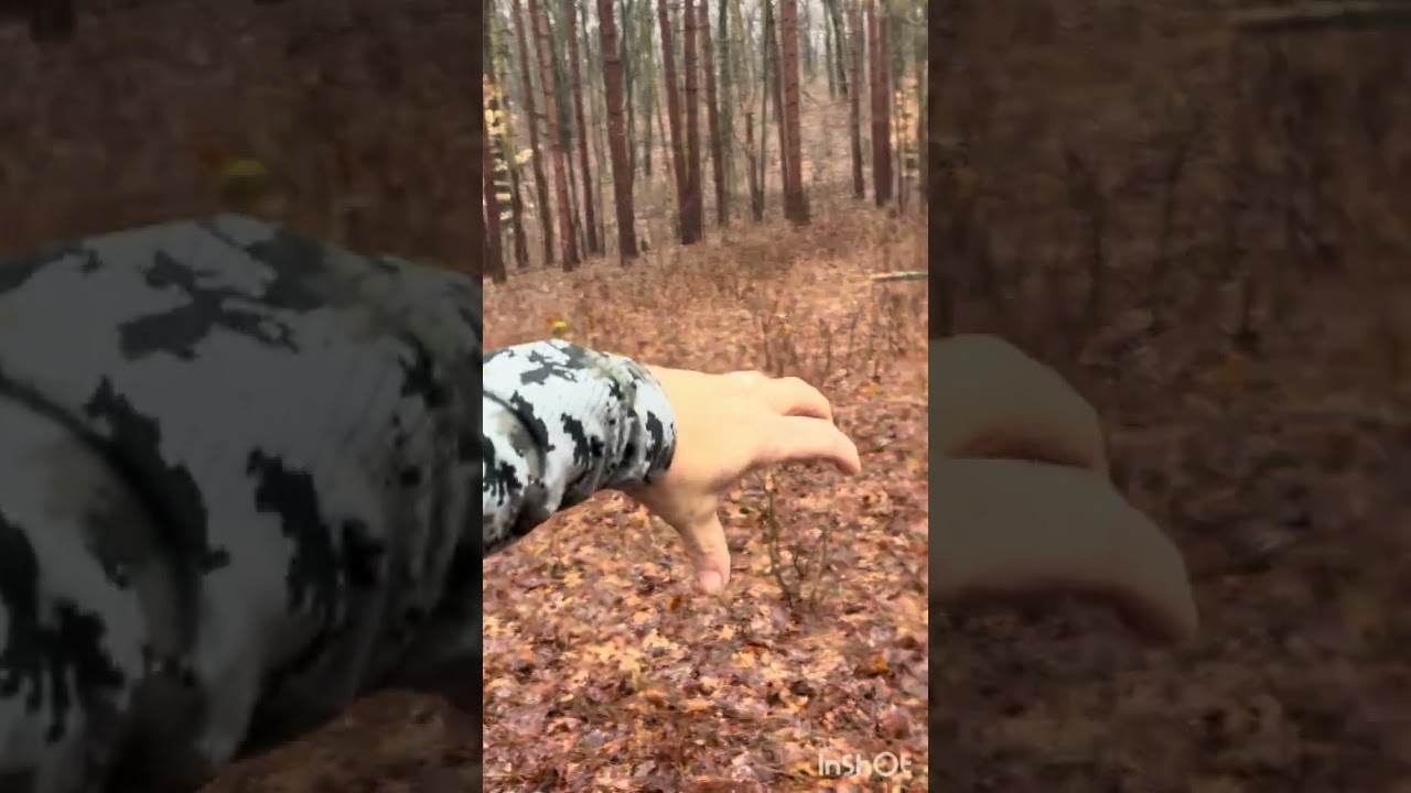 Michigan 2026 Public Hunting Scouting 