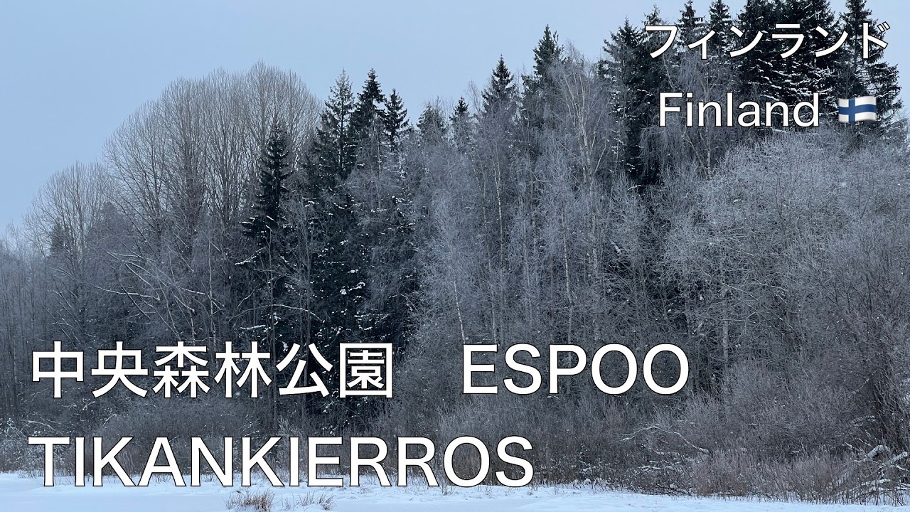 厳冬期に訪れたエスポー市中央森林公園のキツツキ周回ルート(5km)で冬の厳しさが感じられる景色をお楽しみ下さい。Espoon Tikankierros keskitalvella 4.2.2026