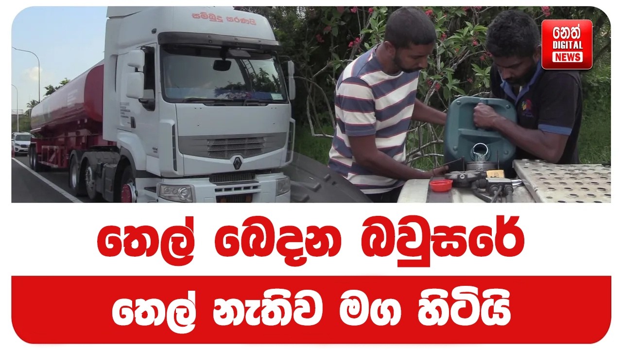 තෙල් බෙදන බවුසරේ තෙල් නැතිව මග හිටියි