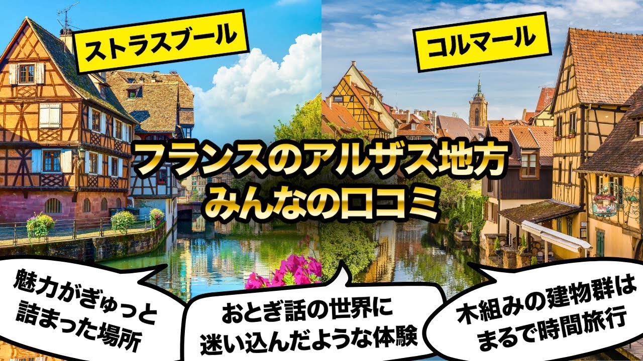 【旅VLOG】フランスのアルザス地方！トラスブールとコルマールを旅したみんなの反応集！