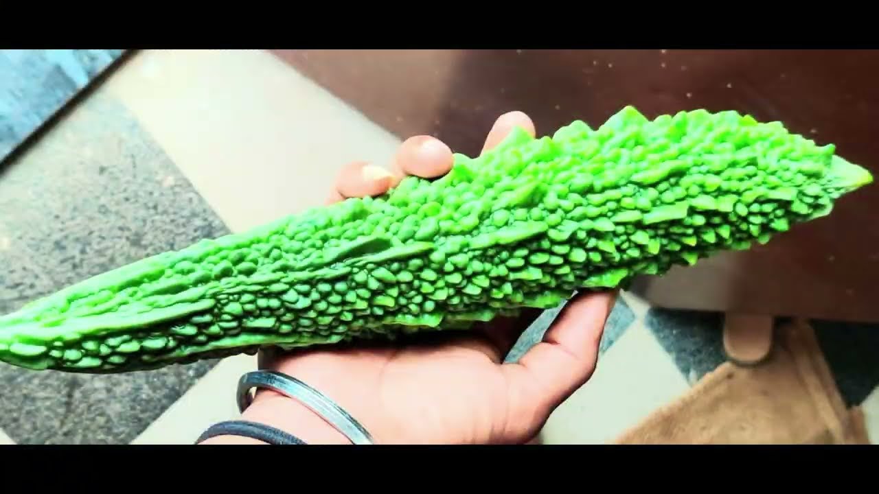 My garden fresh organic vegetable plants 