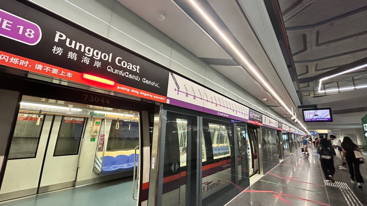 [4K 60FPS] Alstom C751A: 7043/7044 Punggol Coast - Punggol