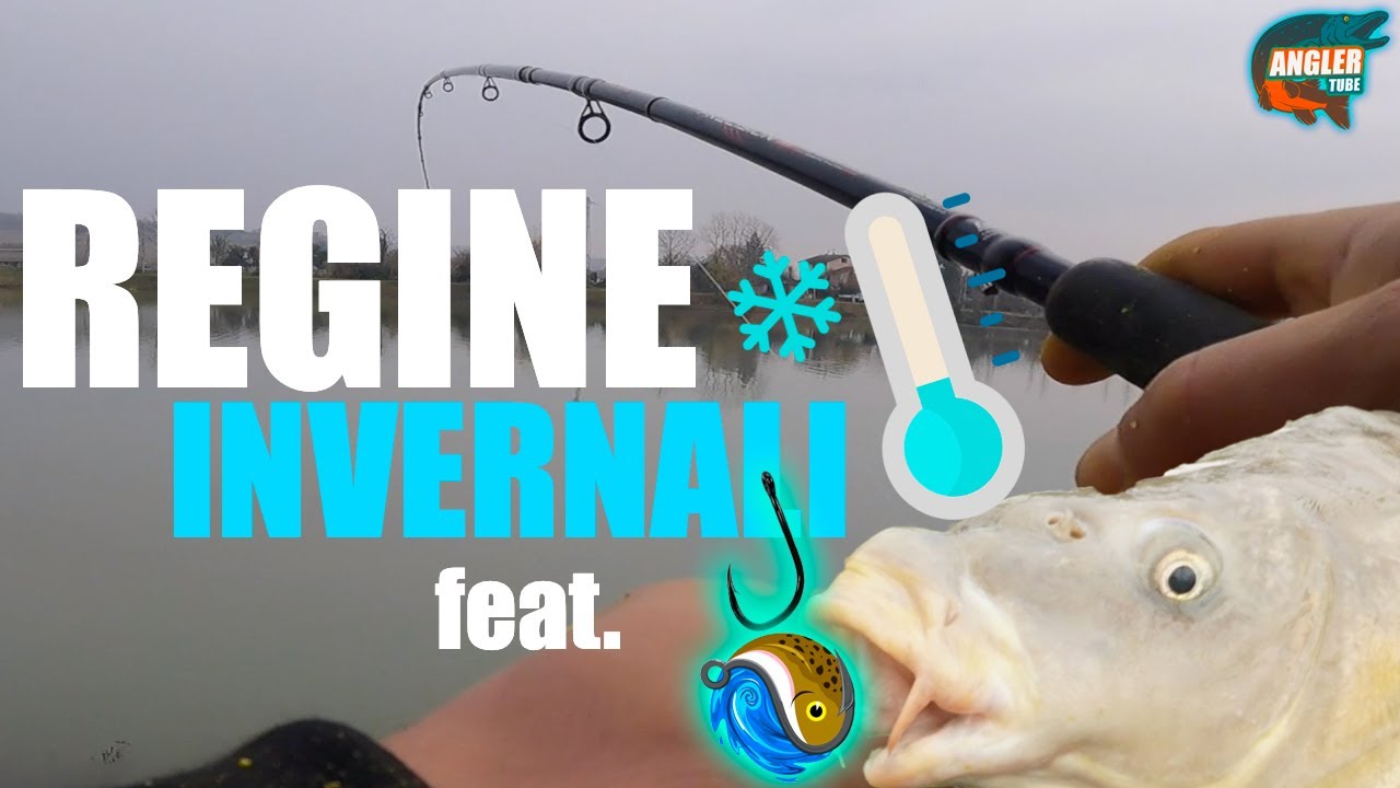 PESCARE le CARPE di INVERNO in piccole CAVE;  TECNICHE SEMPLICI ma EFFICACI: feat FISHING SENPAI