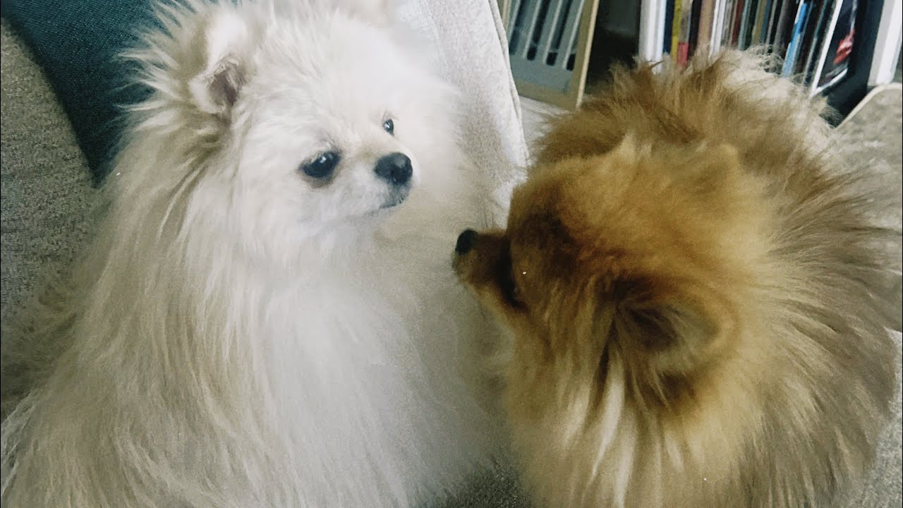 ワンカット＃18