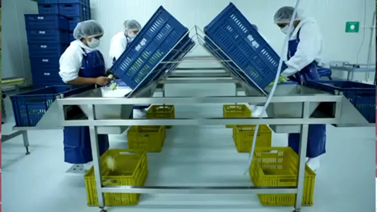Hortalizas y frutas colombianas empacadas tras mercado de Centroamérica