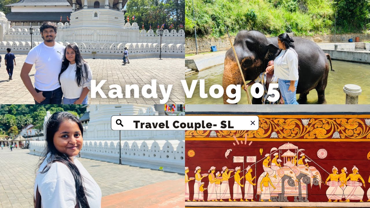 Vlog 05 - Kandy Vlog Sri Lanka / චිත්‍ර බලන්න ගිහින් අලිත් නෑව්වා🐘 Degaldoruwa පන්සලටත් ගියා. 😇