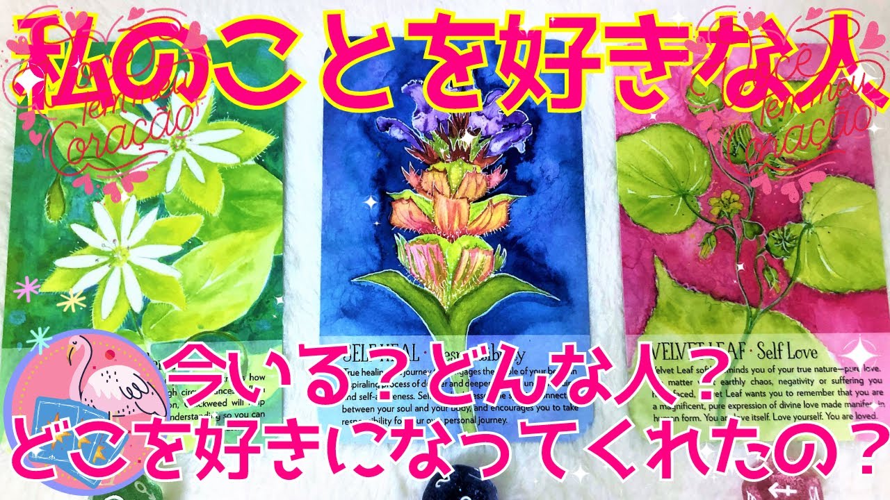 【恋愛】タロット⁂今私のことを好きな人はいますか？⁂どんな人？⁂どこを好きになってくれたの？⁂ペンジュラムボード+アストロダイス⁂3択⁂