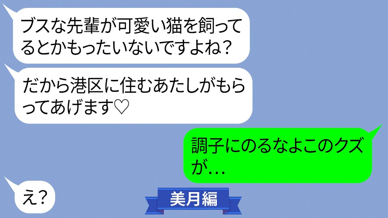 私をブスと見下す地元の後輩が我が子を略奪宣言【LINE】