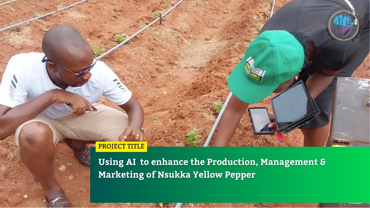 Using AI  to enhance the Production, Management & Marketing of Nsukka Yellow Pepper