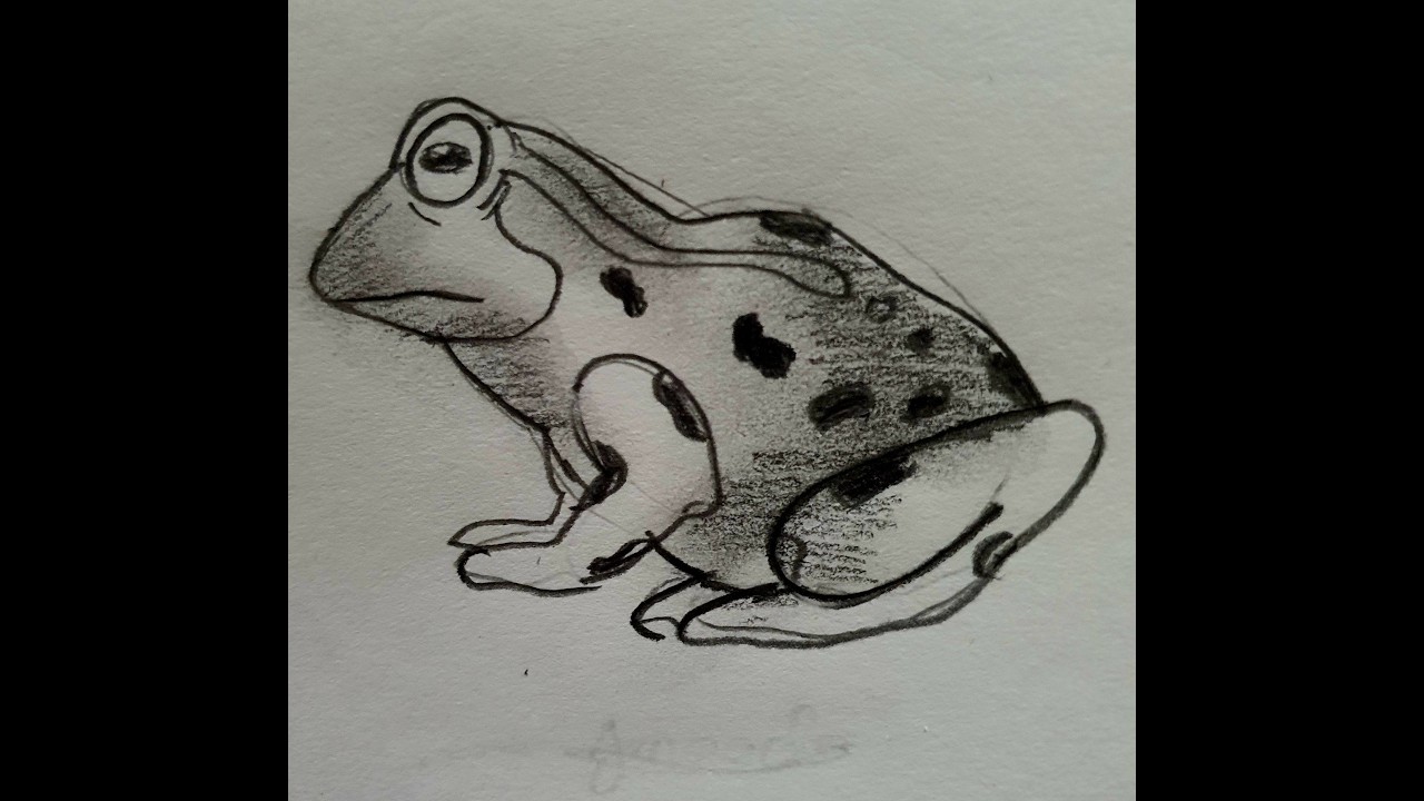 How to draw a Frog | Easy drawing | Step-by-step 