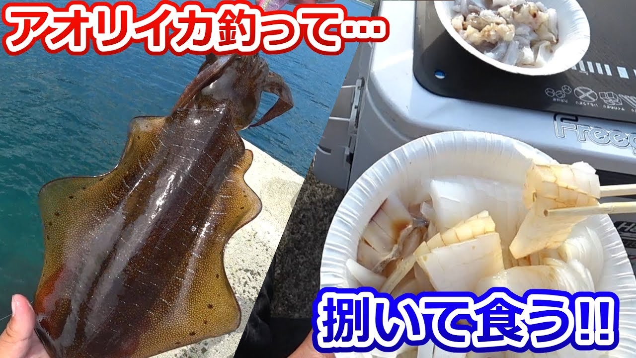 旬のアオリイカを釣って海で食べる！100均ナイフで最強のイカ刺し！！