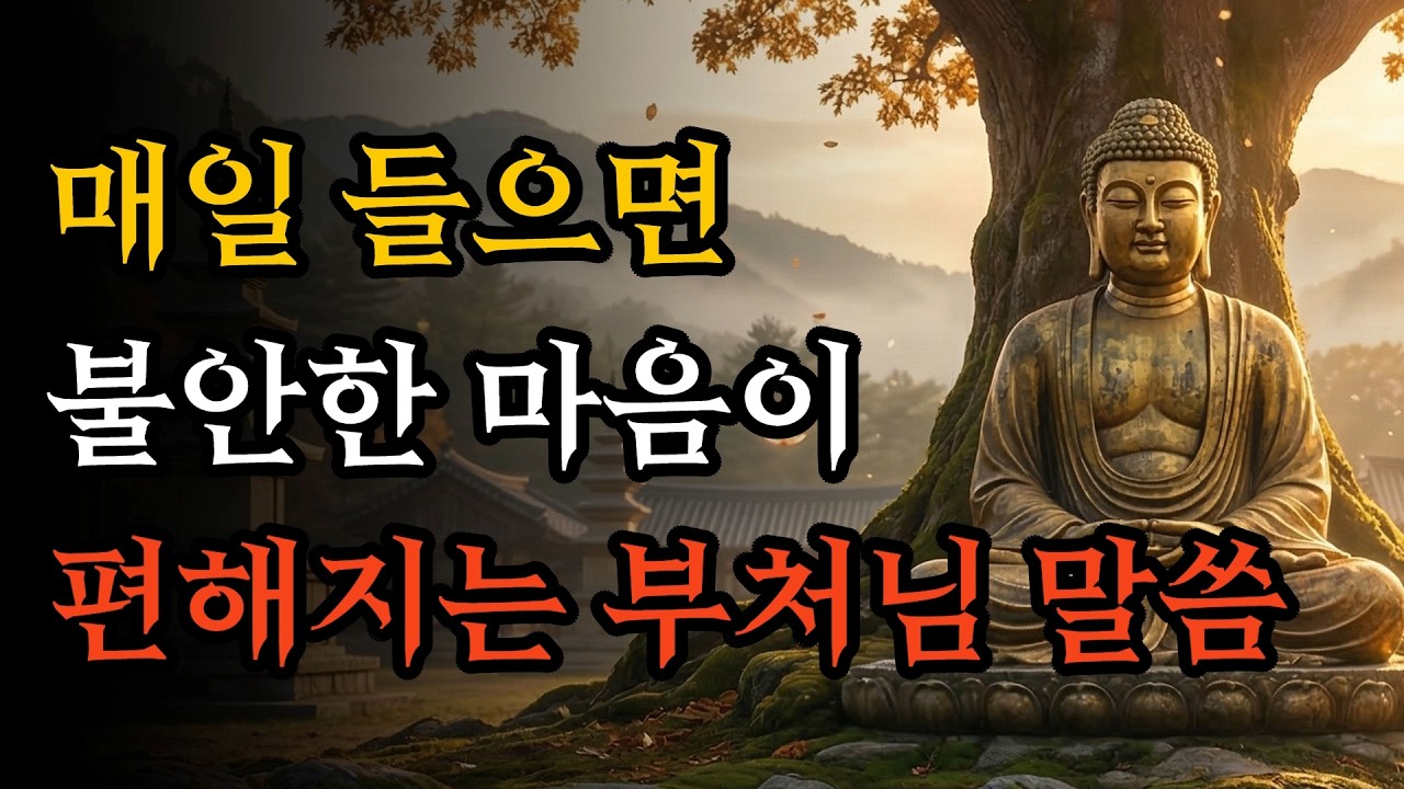 매일 들으면 불안한 마음이 편해지는 부처님 말씀 | 자면서 듣는 불교 명상