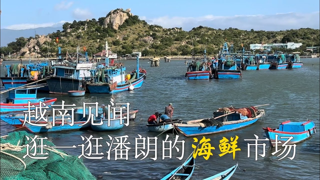 越南见闻：逛一逛潘朗的海鲜市场 #越南 #海鲜 #逛街 