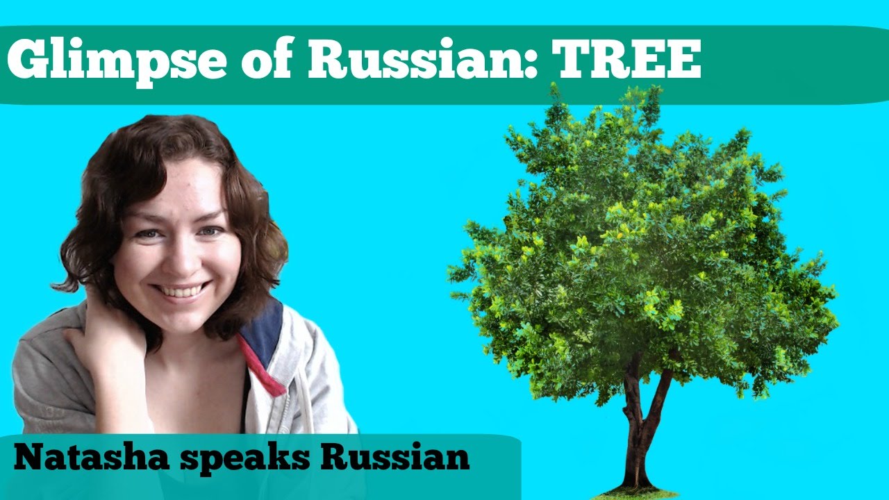 Tree -- ДЕРЕВО // Glimpse of Russian // Learn Russian