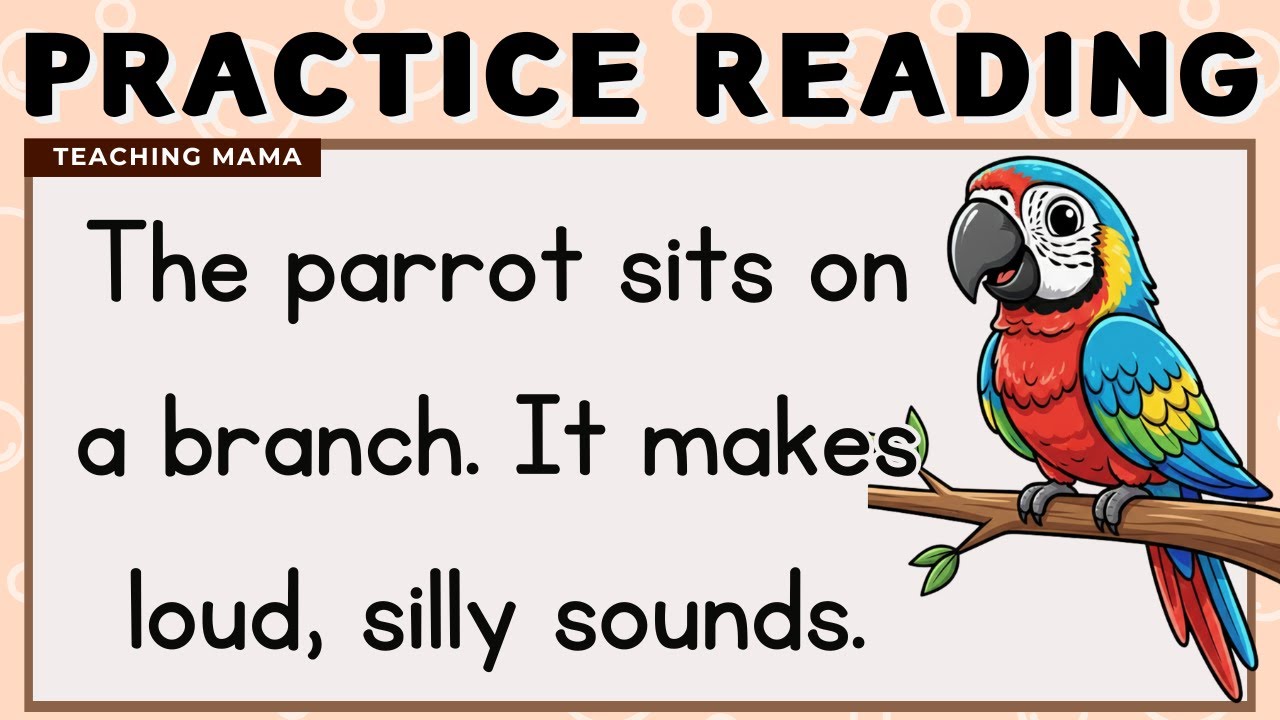 LETS READ! | EASY AND FUN READING LESSON | PRACTICE READING ENGLISH FOR BEGINNERS | TEACHING MAMA