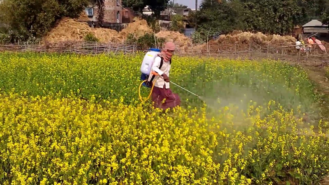 Fertilising