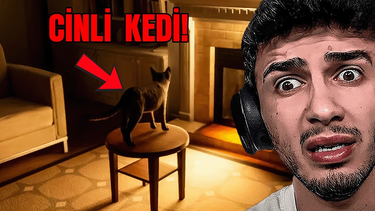 BİR DAHA ASLA KEDİ BAKMAM... | CATSITTER