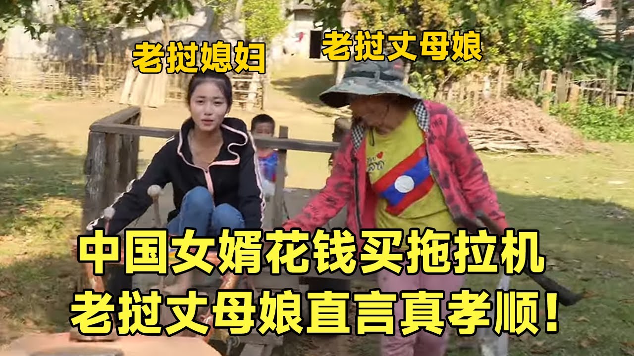 老挝丈母娘走路捡柴火，中国女婿200万买拖拉机！老挝丈母娘：这女婿太好了【阿黛回忆录】