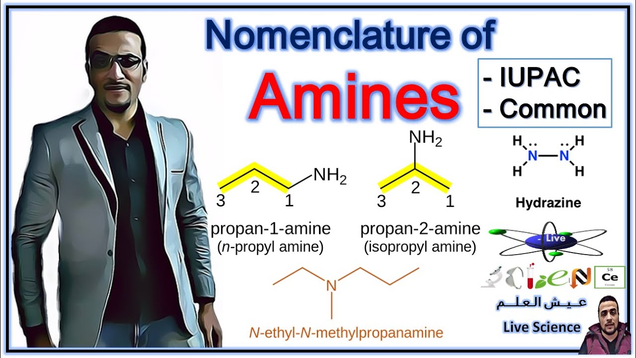 Nomenclature of Amines (IUPAC and Common Name)