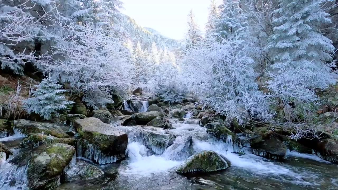 ✨ Healing Sound . Fall Asleep to Winter Nature & Birds sounds.Peaceful Winter Mountain Landscape ❄️
