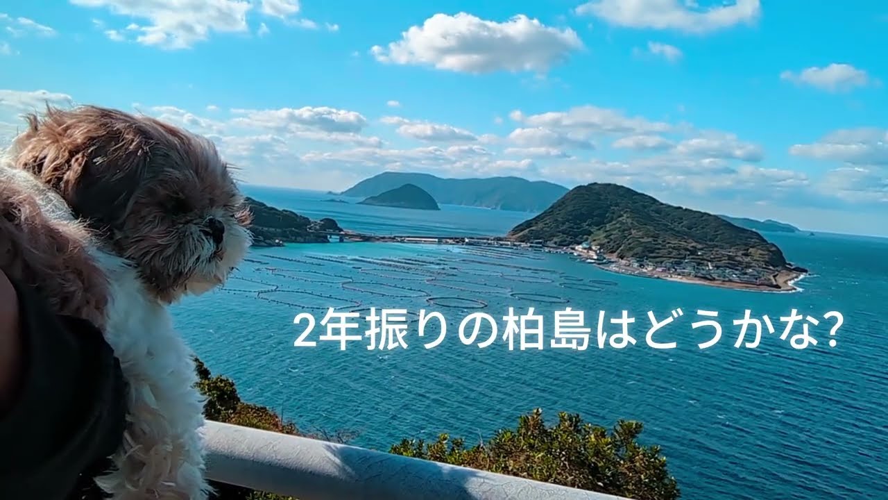 高知県柏島へ 人生で一番青い海【キャンピングカー旅】