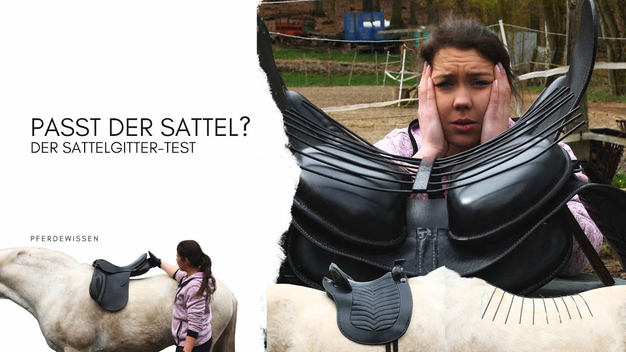 Passt der Sattel? - Der Sattelgitter-Test (Pferdewissen)