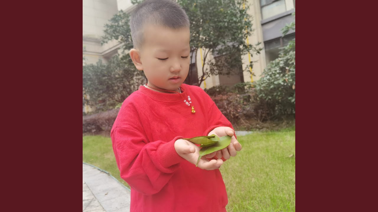心翼 (小桑果版)