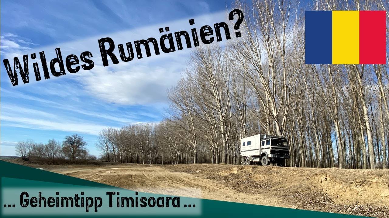 Verliebt in Rumänien | Unser eigenes Hunderudel am Donaustrand Plaja Cetate | Geheimtipp Timisoara