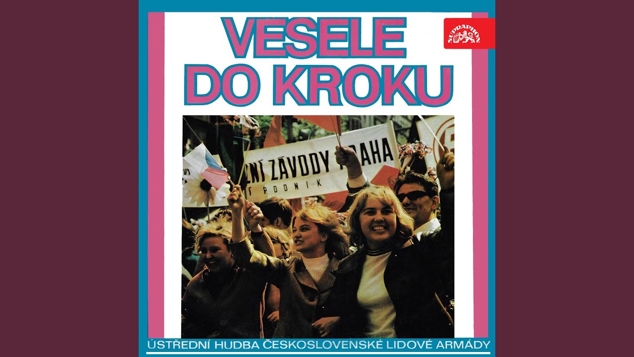 Letěla husička