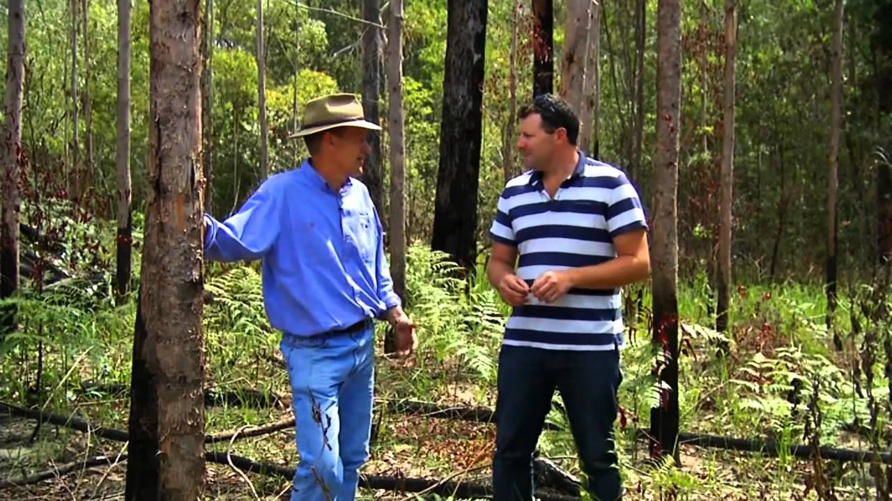 Going Bush Season 7 EP 01 Hurford Hardwood